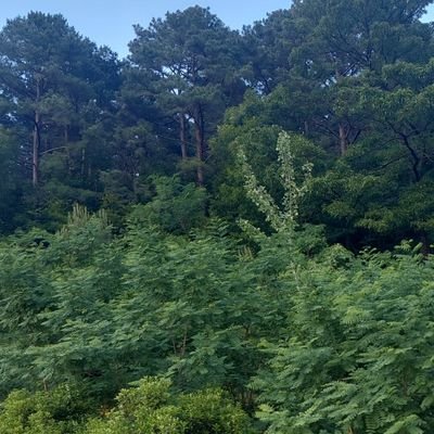 bmwrrrr112's profile picture. 안녕하세요 😄