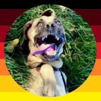 atem (@atem_ens) Twitter profile photo