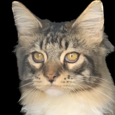 mymtjo's profile picture. 🧑‍💻ｶﾀｶﾀｶﾀ…