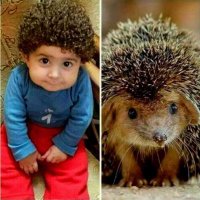 סמיר (@smyr1432373) 's Twitter Profile Photo