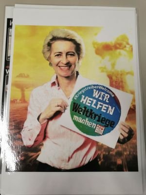 StefanFisc25252's profile picture. RKI files gelesen,muss man mehr wissen?