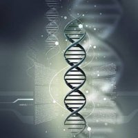 Desoxy (@desoxy64) 's Twitter Profile