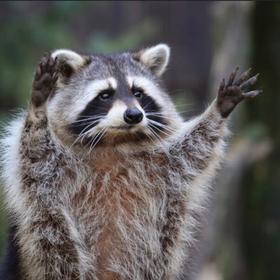 choppazone02's profile picture. 