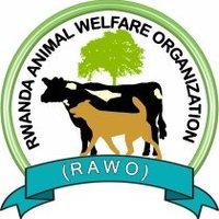 RWANDA ANIMAL WELFARE ORGANIZATION (@rawo_rwanda) 's Twitter Profile Photo RWANDA ANIMAL WELFARE ORGANIZATION (@rawo_rwanda) 's Twitter Profile Photo