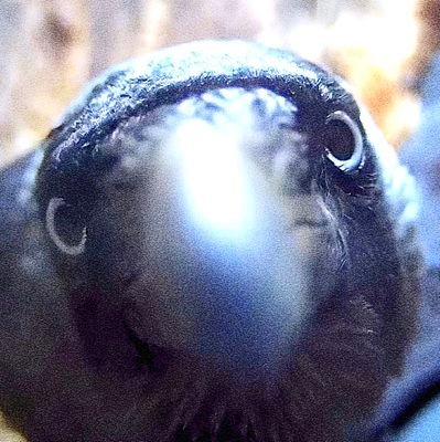 Kevinxie638607's profile picture. 