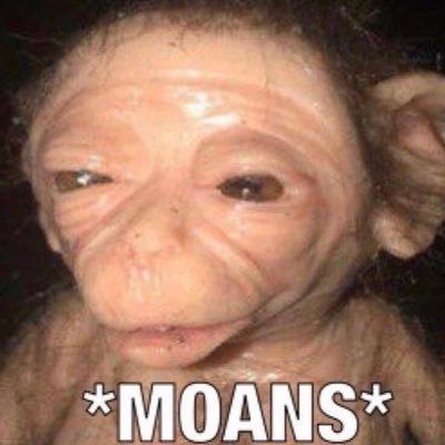 orcliftoperator's profile picture. Christian. MAGA.
