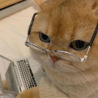 rii ποΈ (@studysites) 's Twitter Profile