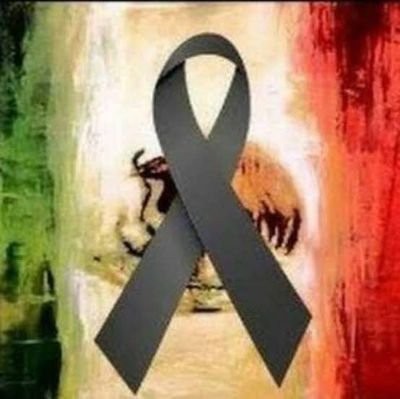 MEXICANO🇲🇽
PANISTA DE 💙
100% ASPIRACIONISTA
POLÍTICO