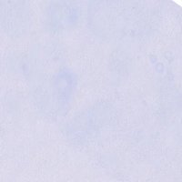 左右盲 (@sayumo_dayo) 's Twitter Profile