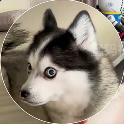 Corechain_sky's profile picture. CoreDAO - the official org developing the Satoshi Plus ecosystem and building web3 infrastructure on Bitcoin’s PoW.