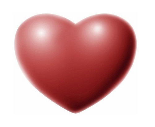 www_Looove_Me's profile picture. I Love You ! You Love Me ? Share The Love, Love Is The Answer
Follow Me And I Will Follow You