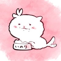 かじつの (@kazi2ya) 's Twitter Profile Photo