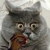 ๐ถAva Sybil๐ถ (@corcakes) Twitter profile photo ๐ถAva Sybil๐ถ (@corcakes) Twitter profile photo