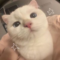 mon❥ (@archive0202_) 's Twitter Profile