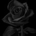 V13_ (@hfv13_) Twitter profile photo V13_ (@hfv13_) Twitter profile photo