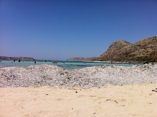 bog_sta's profile picture. solution architect