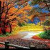 Filiz (@hatunbal1969) Twitter profile photo