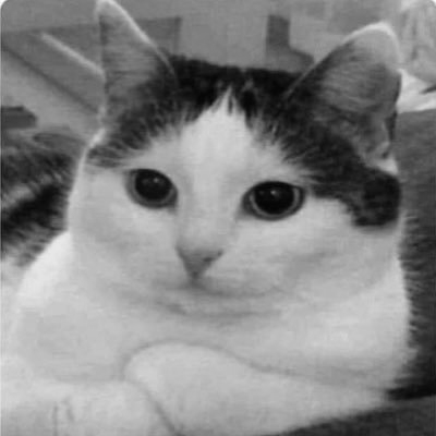 jhoonb's profile picture. developer // ₿🇻🇦