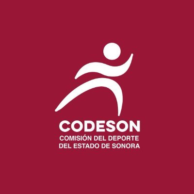 CODESON Oficial Profile
