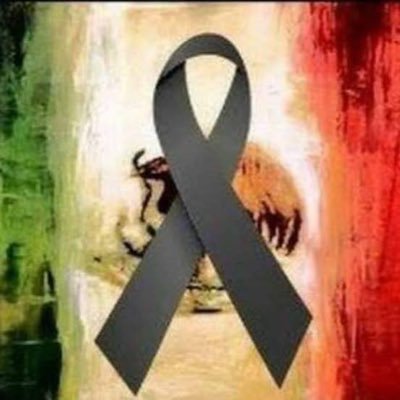V4NotVendetta's profile picture. Internacional Ciencia Noticiero Economía Salud México Negocios Política Gobierno