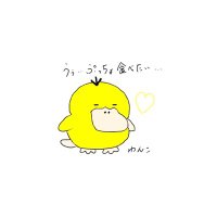 お水@コダック大好き (@wankokodakabi) 's Twitter Profile