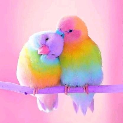 lou_gro's profile picture. Diseñadora gráfica y web
