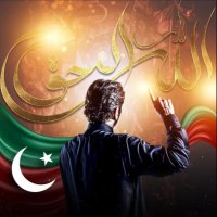 Naveed Lyallpuria 🇵🇰 (@naveed786pti) 's Twitter Profile