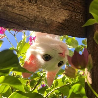 —さんのプロフィール画像