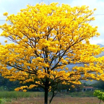 Me gusta la libertad, la naturaleza. creo en Dios como mi todo. amo a la humanidad porque es mi prójimo