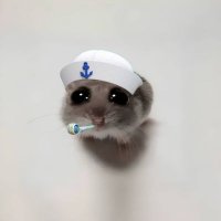 Hammy Johnny (@mecheecto) 's Twitter Profile