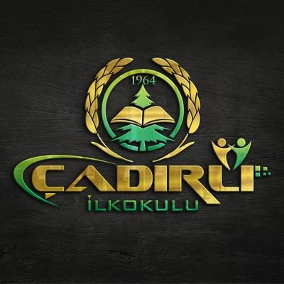 cadirliokulu's profile picture. Öğrenci  ve başarı odaklı okul