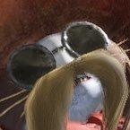 nさんのプロフィール画像