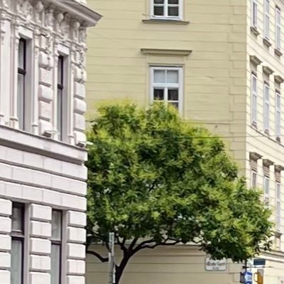 Obaychi's profile picture. dance