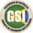 @GSI_oficial