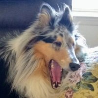 TC Mayton (@maytontc94300) 's Twitter Profile