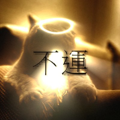 Lucdidi2's profile picture. (very) unprofessional video editor