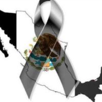 Francisco Gerte (@fcogrt) 's Twitter Profile