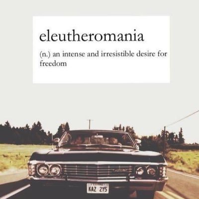 don_kata111's profile picture. 🍊