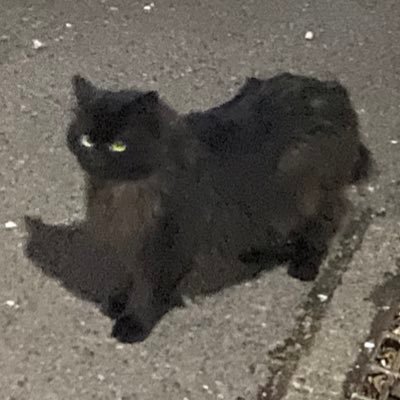 viviviuigo's profile picture. 数学科B2/初学/弱い/いまは代数全般、複素関数論、ゲーデルの不完全性定理、測度論、圏論などに興味があります