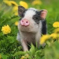 MarioRiche22453's profile picture. 