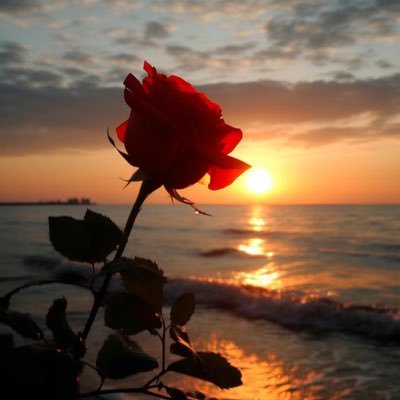 huang_chao12679's profile picture. 
