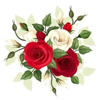 بنت 🌹المملكه🇸🇦 (@lahdy218158) 's Twitter Profile