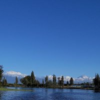 Xochinauta 🚀🛰️ (@sinxochimilco) 's Twitter Profile