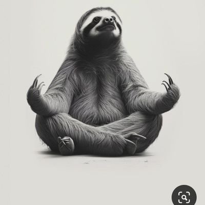 Alejand93159912's profile picture. 