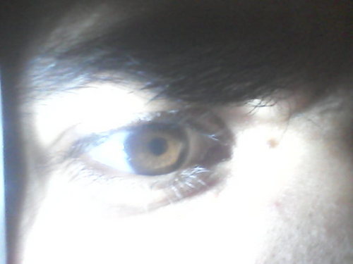 donas11's profile picture. Sígueme para ser feliz.