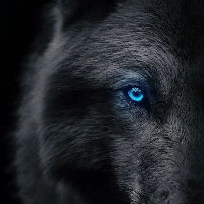 Fojisahb123551's profile picture. 