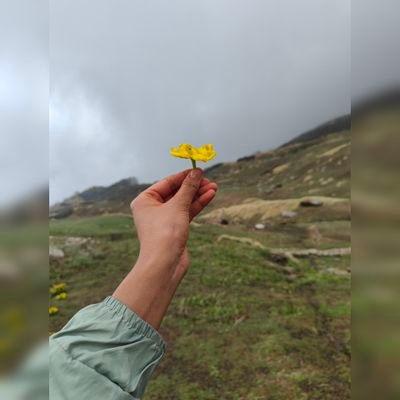 bhawana142's profile picture. 