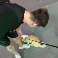 distortion (@itsdistortion) 's Twitter Profile Photo