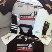 Naomh Peregrine GAA (@naomhperegrine) 's Twitter Profile