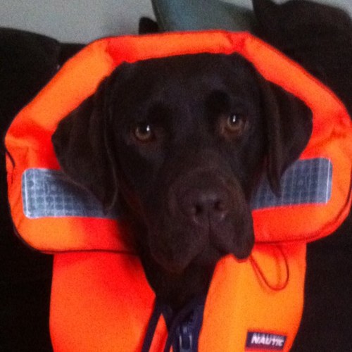 rob_muggridge's profile picture. Cider making, beard enthusiast who occasionally graces a rugby pitch. Currently living with two monkeys and a trophy wife.